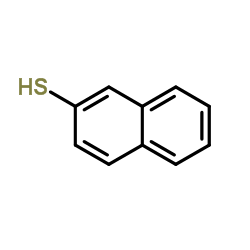 2-Naphthalenethiol_91-60-1